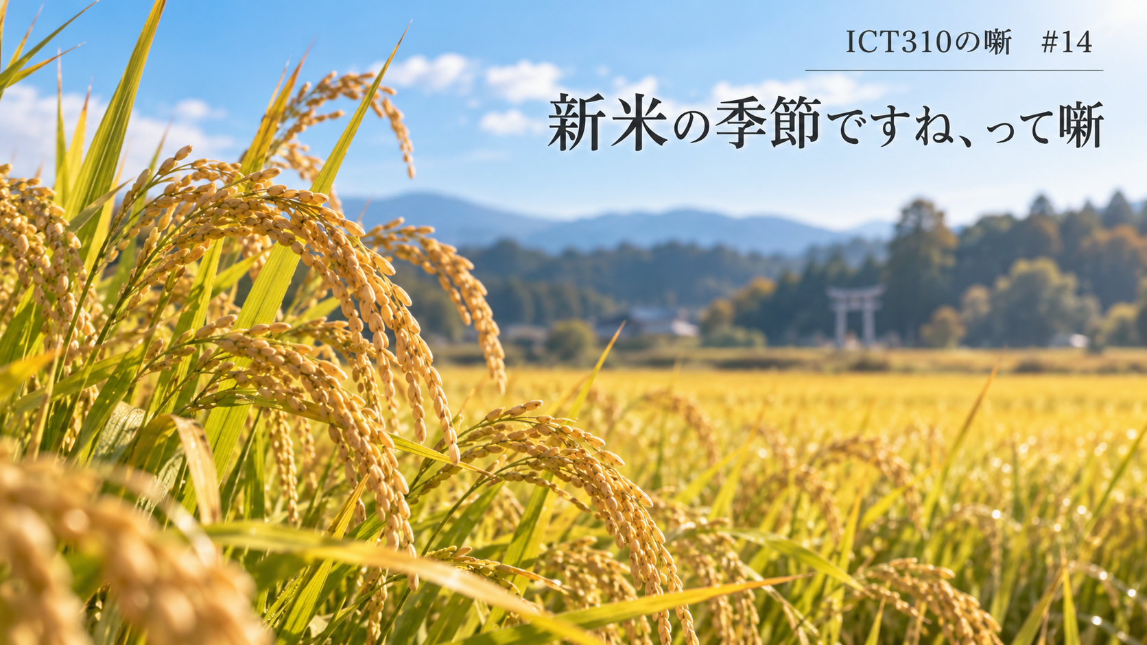 新米の季節ですねって噺。